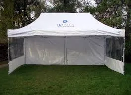 carpa2.webp