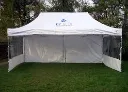 carpa2.webp