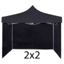carpa negra.webp